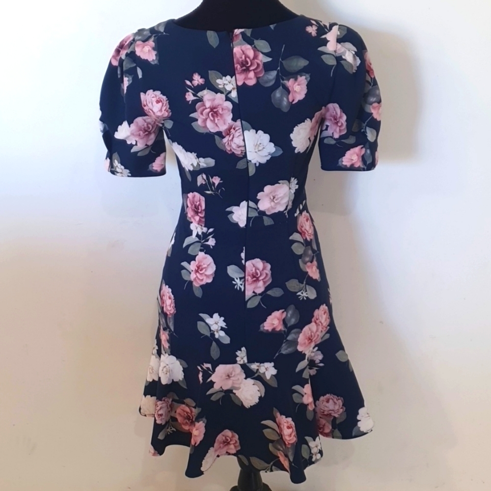 Forever New Size 8 Floral Pink and Blue Dress - Picture 5 of 7